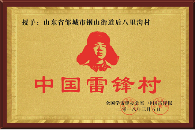 中国雷锋村
